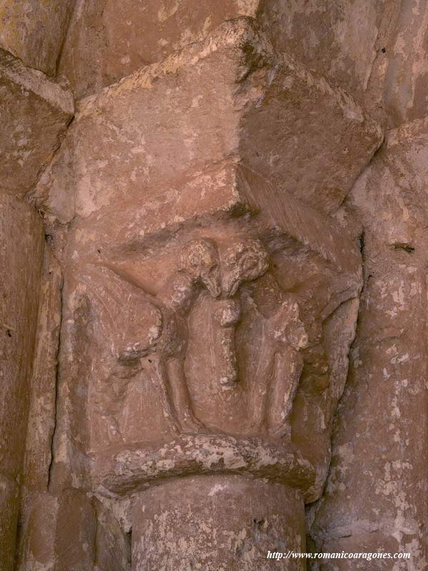 TOSCOS GRIFOS